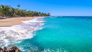 Dominican Beach with Waves Rolling  Natural Background With Ocean Sounds [upl. by Louanna]