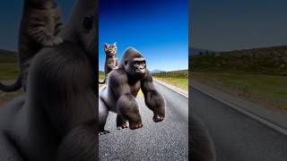 gorilla attack cute puppy  cat cutecat dog trendingshorts [upl. by Dlorrej]