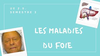 UE 25 Hépatites  Cirrhose Comprendre les maladies du foie en moins de 10 min [upl. by Christophe]