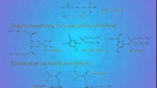 14 ChemicalsReferences [upl. by Sabas]