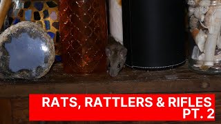 Rat Infested Hoarding Nightmare Pt 2  Fort Myers FL [upl. by Elleirb]