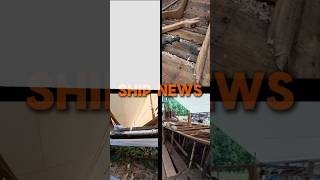 Viking Ship News vikingship norway boatbuilding sail history vikingage [upl. by Honebein556]