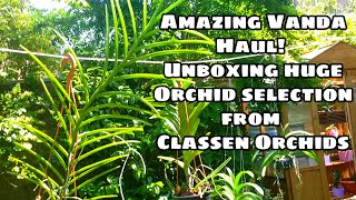 Seller review 2  Unboxing a Massive Orchid Haul from Claessen Orchids [upl. by Ahsrat]