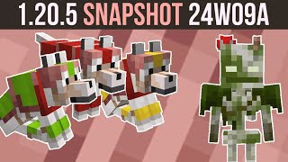 Minecraft 1205 Snapshot 24W09A  Dyeable Wolf Armor amp Sheerd Bogged [upl. by Itak]