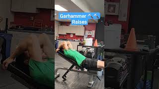 Garhammer Raises for Lower Ab Strength [upl. by Ailesor]