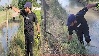 snake hunting on small river  hunting with slingshot [upl. by Orimlede]