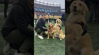 My dogs were invited to the ArmyNavy Game [upl. by Fendig]