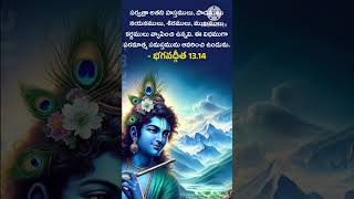 devotional kannayaworld6224 [upl. by Eolc]