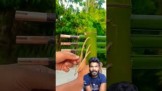 Bamboo Creations with 3 arrow 😱 2 bamboo Slingshots diy mrans [upl. by Yenittirb]