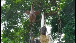 El secreto sagrado del Gallo en la religión Yoruba Por eso no se puede sacrificar a los Orishas [upl. by Vihs247]