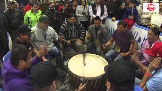 Whitefish Jrs Crow Hop Song  FSIN Pow wow [upl. by Eitten615]