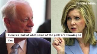 Tennessee US Senate race polls Phil Bredesen Marsha Blackburn vie to replace Bob Corker [upl. by Arolf]