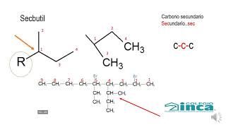 RADICALES ESPECIALES CLASE QUÍMICA 11° Isopropil isobutil secbutil y terbutil [upl. by Ludovico531]