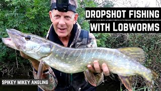 Dropshot fishing  Small snaggy rivers  with Lobworms [upl. by Nichols792]