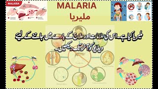 malaria  malirya  मलेरिया [upl. by Imehon]