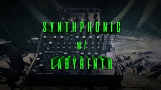 Lullaby for DFAM played by Labyrinth [upl. by Halilad]