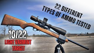 Ruger 1022 Light Varmint Target  ULTIMATE Accuracy Review [upl. by Pheni]