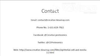 The Complete Guide to Know The Difference Between Epithelial Cells and Endothelial Cells [upl. by Iahc]