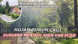 SUASANA HUJAN DI TENGAH HUTAN DI DESA BELANDA [upl. by Doralynn]