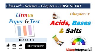 Litmus Paper amp Test  Chapter 2  Class 10  Science  CBSE NCERT  Milap Integration [upl. by Akemahc]