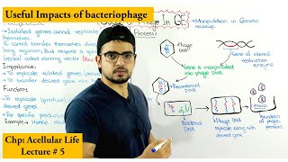 Engineered bacteriophages for the control of E coli O157 [upl. by Schoenburg]