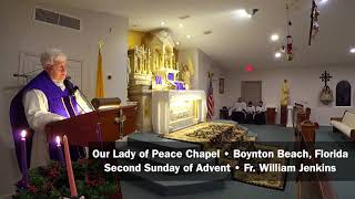 The Immaculate Conception amp Time  Sunday Sermon  2nd Sunday of Advent [upl. by Sellig]