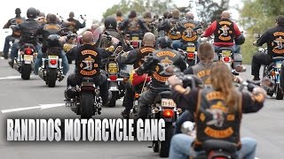 Bandidos Gang Documentary  Motorcycle Madness [upl. by Eceinahs577]