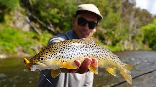 Backpacking Camping and Fishing the river Wild Trout Fishing [upl. by Glick]