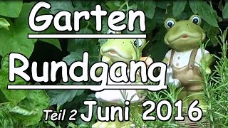 Gartenrundgang Juni 2016 Teil 2  Garten Rundgang im kleinen Selbstversorger Garten Gemüse anbauen [upl. by Wait]