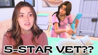 From STARTER to 5Star Vet Clinic [upl. by Nytnerb]