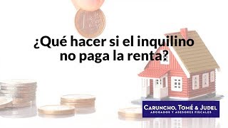 ¿Qué hacer si el inquilino no paga la renta [upl. by Market]