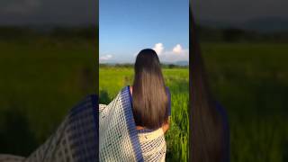 Sokujuri Sai Sai  Bihu song  Assamese New song 2024  assamesesong trnding [upl. by Nnil]