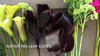 DIY flower adding Aspidistra leaves to your arrangements and bouquets [upl. by Sainana]