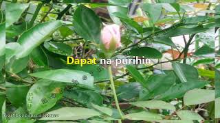 Awitan Si Yahweh  Tagalog Praise And Worship Karaoke Instrumental With Lyrics [upl. by Coplin]