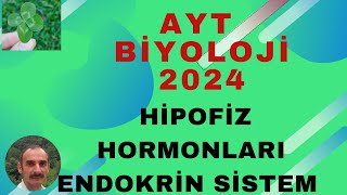 AYT BİYOLOJİ 2024 HİPOFİZ HORMONLARI11SINIF BİYOLOJİ [upl. by Cuthbert116]