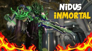 BUILD NIDUS PRIME  INMORTAL  WARFRAME [upl. by Eenttirb]