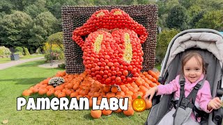 Kaiserslautern  Pameran Labu 🎃 LEGOLAND [upl. by Whallon]