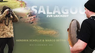 Salagou zur Laichzeit  Karpfenangeln in Frankreich Carpfishing  Boilies  Angeln [upl. by Sudaorb]