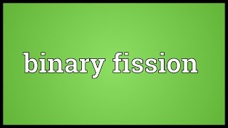 Binary fission Meaning [upl. by Einhpad]