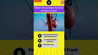 Whats the primary function of heart valves [upl. by Arten182]