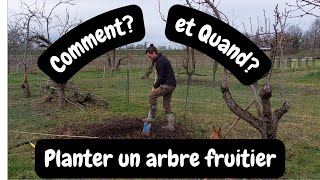 Comment et Quand planter un arbre fruitier [upl. by Marra]