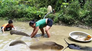 Girl and boy drain pond to harvest big fish for a living [upl. by Yecart]