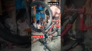 cycle work punjabi cycle stunt cycling sound viral like subscribe comment punjabisongs [upl. by Buehler786]