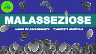 MALASSEZIOSE cours de parasitologiemycologie [upl. by Annadiana]