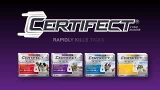 Certifect Flea and Tick SpotOn Treatment by Merial [upl. by Ainoek117]