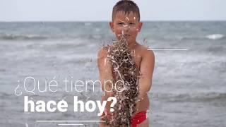 ¿Qué tiempo hace hoy Learn the Weather in Spanish Singing with Profe Arnaly  Beginners [upl. by Humph640]