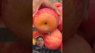 Fruit lover nicevideo greenscene facts touristatrraction natureslover fruitcutting🍑🍒🍒🍎🍓🍓🫒🥬🥬🌶🥬 [upl. by Witty]