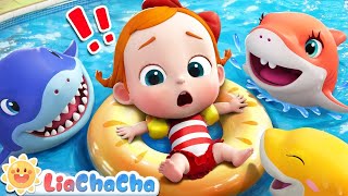 Baby Shark Doo Doo Doo  Baby Shark Sing and Dance  LiaChaCha Nursery Rhymes amp Baby Songs [upl. by Gwenneth]