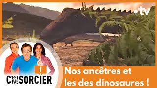 Nos ancêtres et les des dinosaures   Cest pas sorcier Intégrale [upl. by Siberson806]