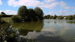 FOLLYFOOT FARM FISHERY NORTH PETHERTON BRIDGWATER SOMERSET [upl. by Xer532]